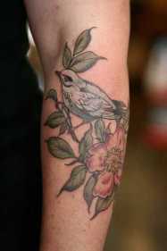 Audobon bird society tattoos